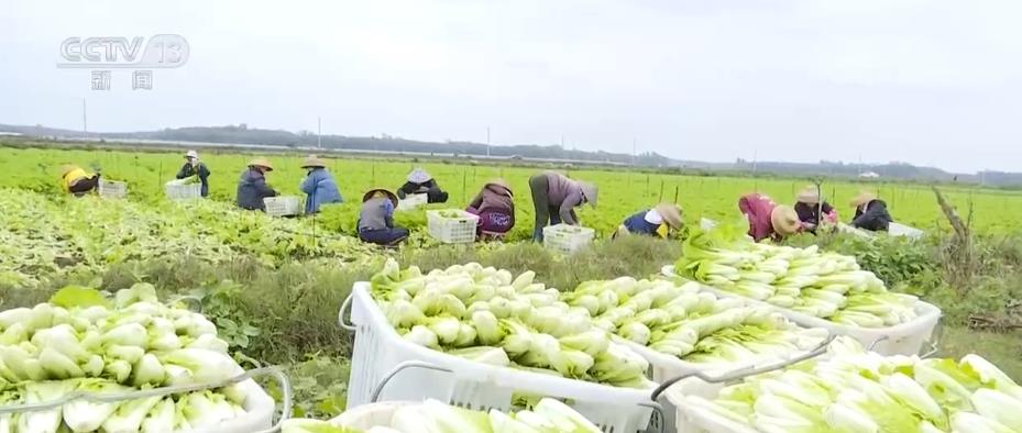 经济日报：切实抓好“米袋子”“菜篮子”