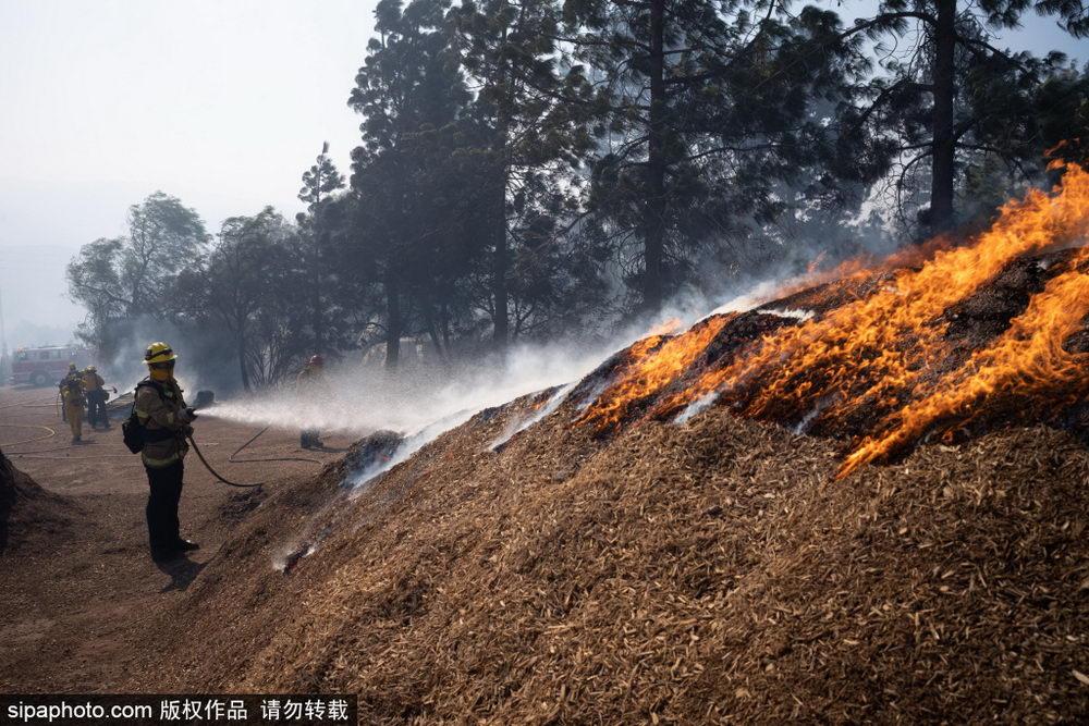 中方是否考虑为洛杉矶抗击山火提供援助？外交部回应