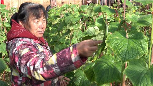 春节寒潮来袭，专家提示重点人群做好防护